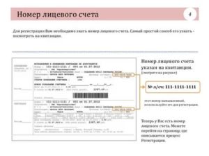 Узнать свой номер флс