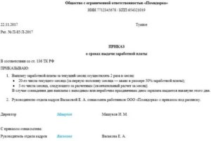 Образец приказа о невыплате зарплаты директору