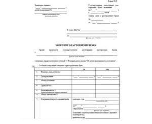 Невский загс часы приема заявлений на развод