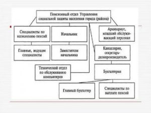 Соцзащита вышестоящая организация