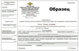 Справка о несудимости 2019 скачать