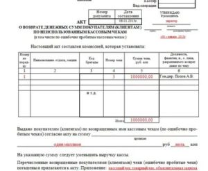 Акт возврата порядок заполнения номер чека возвратного
