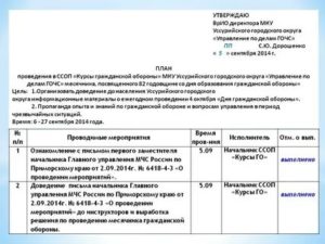 Врио главного врача образец