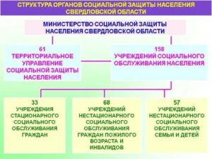 Соцзащита вышестоящая организация