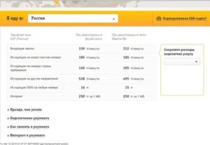 Не работает мобильный интернет билайн в другом городе нет средств