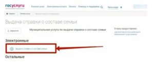 Форма 9 через госуслуги санкт петербург