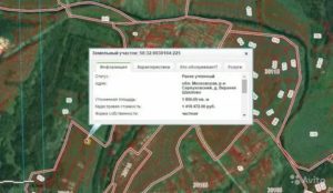 Статус архивный земельный участок межевание