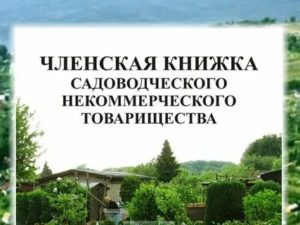 Аудит снт через прокуратуру