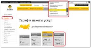 Не работает мобильный интернет билайн в другом городе нет средств
