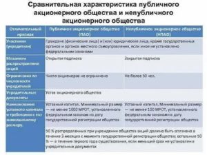 Акционерное общество публичное непубличное учредительные документы