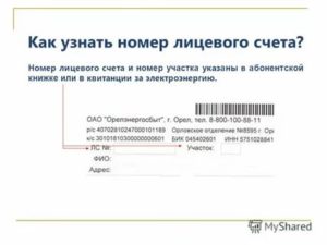 Узнать свой номер флс