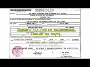 Временная регистрация тамбов в муниципальной квартире