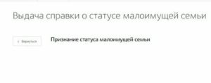 Статус малоимущей семьи 2019 тюмень