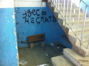 Куда обращаться если в подьезде мыши