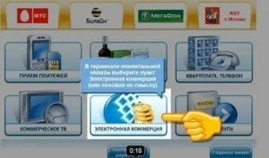 Не пришли деньги на вебмани через терминал
