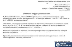 Написать онлайн письмо в трудовую инспекцию г москва