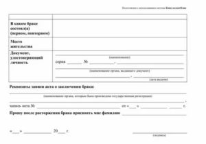 Невский загс часы приема заявлений на развод