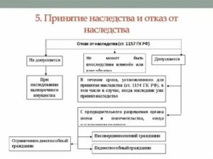 Непринятие наследства по завещанию в срок