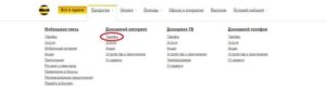 Не работает мобильный интернет билайн в другом городе нет средств