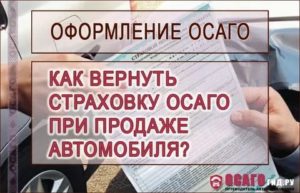 Как вернуть деньги за страховку осаго при продаже автомобиля ресо