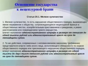 Нецензурная лексика коап