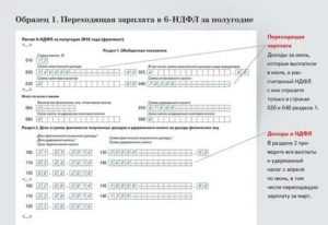 Образец заполнения ндфл 6 при аренде помещения у физ лица