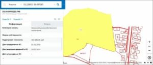 Кадастровая публичная карта тутаева с особыми условиями использования территории