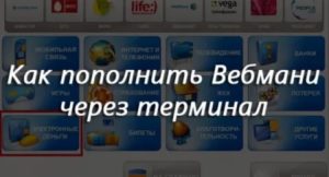 Не пришли деньги на вебмани через терминал
