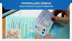 Анапа замена водительских пиав