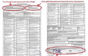 Нужна ли страховка при осмотре транспортного средства на площадке