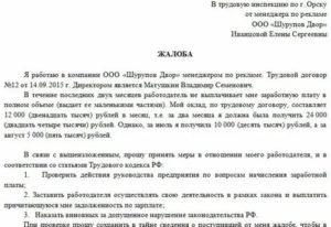 Написать онлайн письмо в трудовую инспекцию г москва