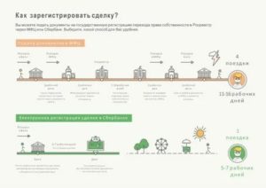Сроки регистрации сделок с недвижимостью вмфц