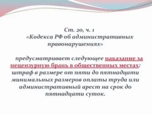 Нецензурная лексика коап