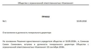 Образец приказа о невыплате зарплаты директору