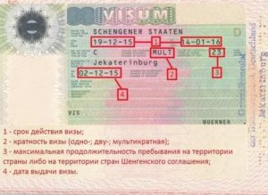 Немецкое посольство на сколько дают визу