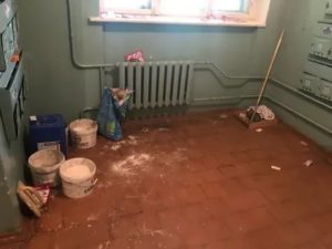 Куда обращаться если в подьезде мыши